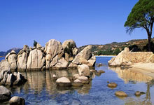 体图：药厂有很大机会引进霍安-加西亚，他想要稳定出场机会.